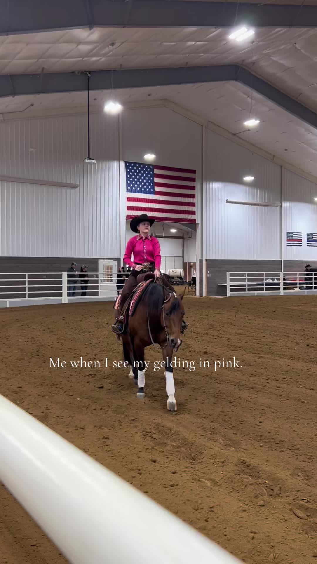 @bryndlekaye_horses