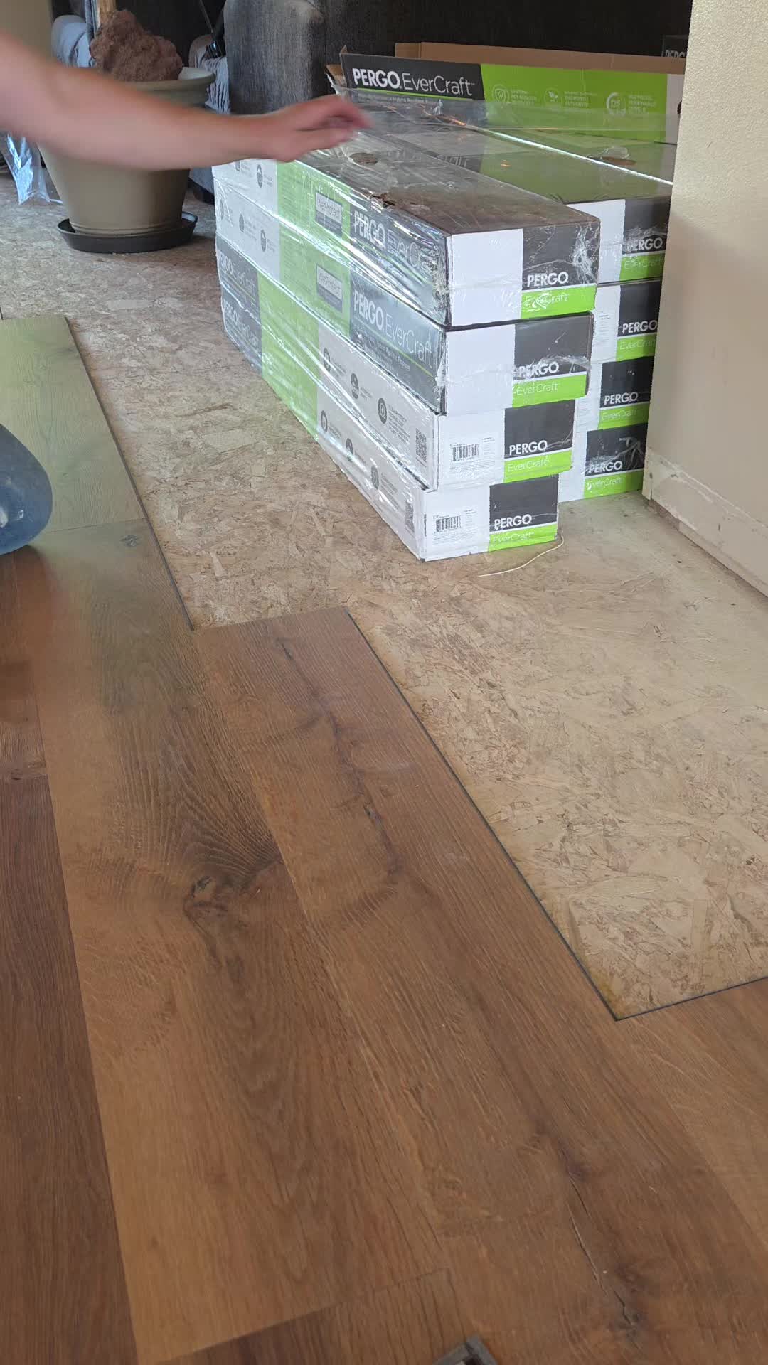 @MFGA.. Make Floor Great Again