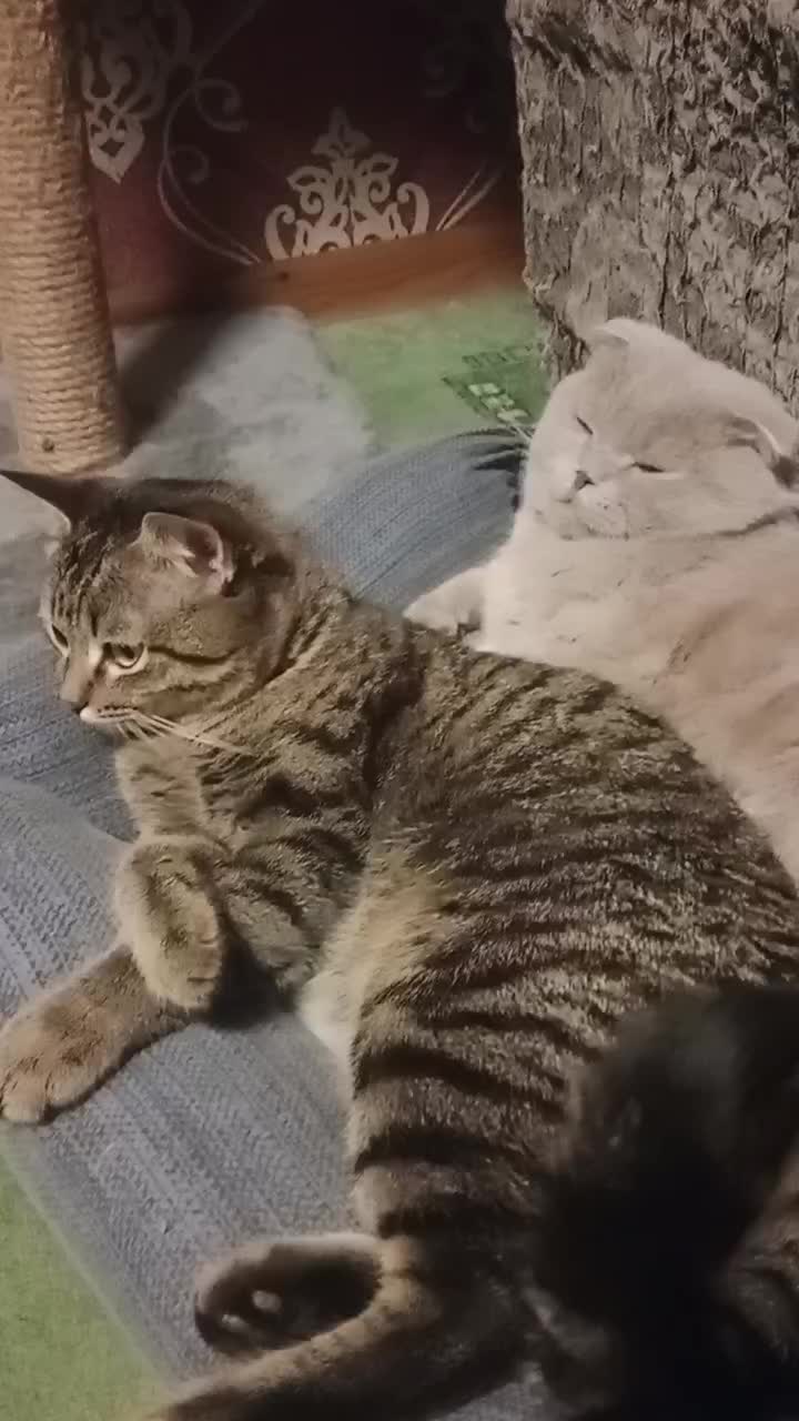 @Катрина