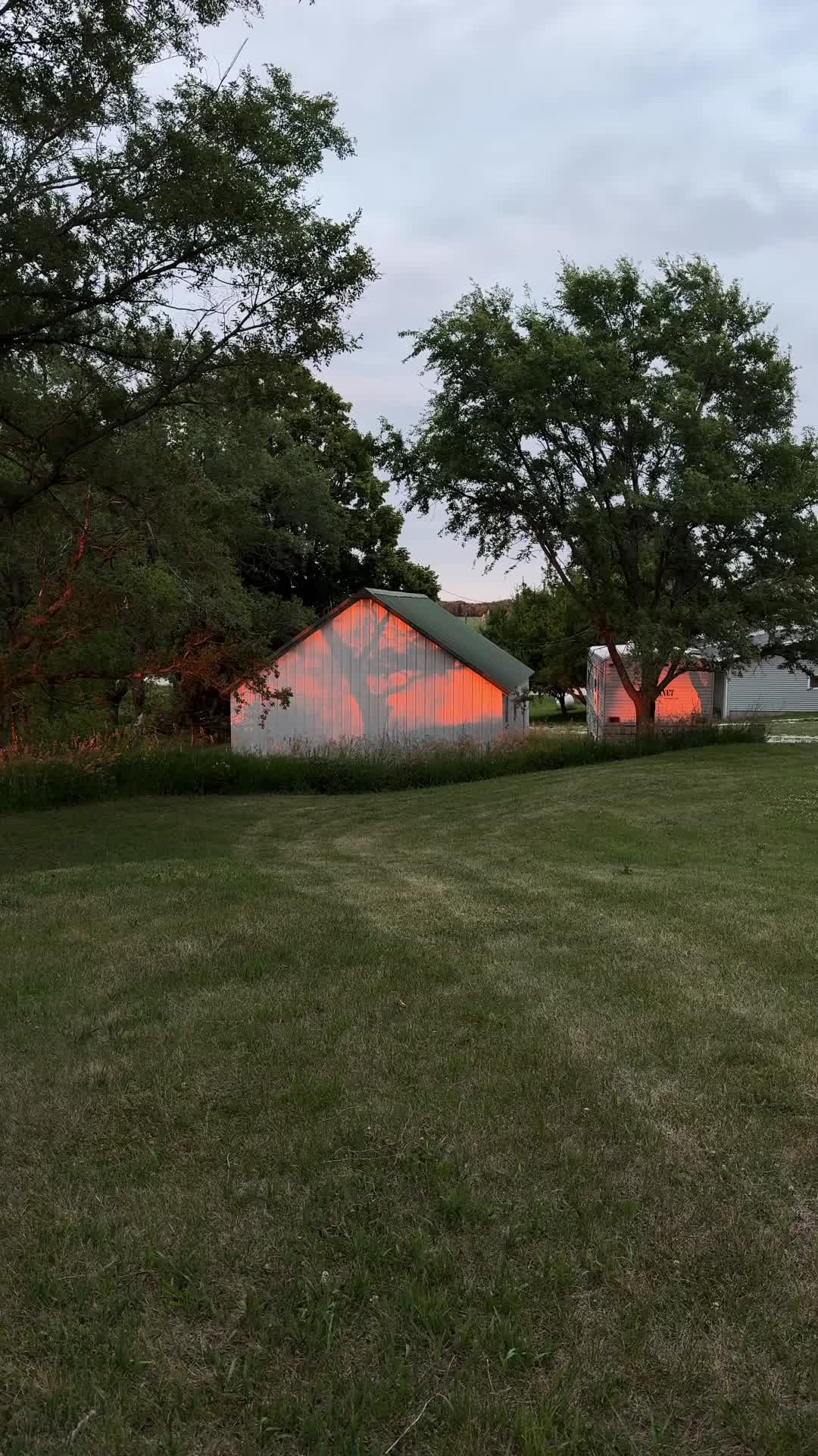 @⋆.˚☾⭒.𝒋𝒂𝒛𝒎𝒊𝒏𝒆❀⋆.ೃ࿔*