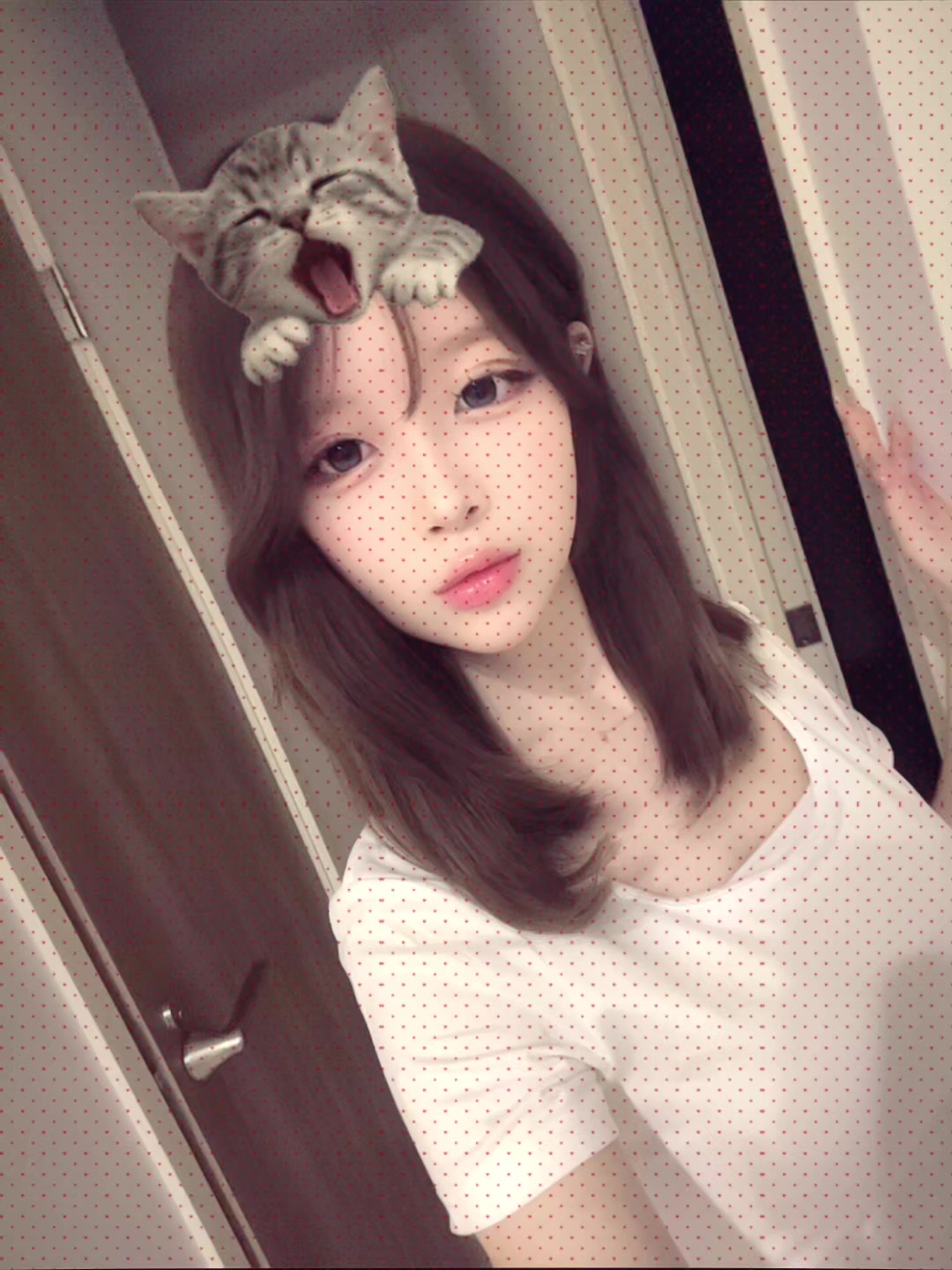 @にゃんぷー