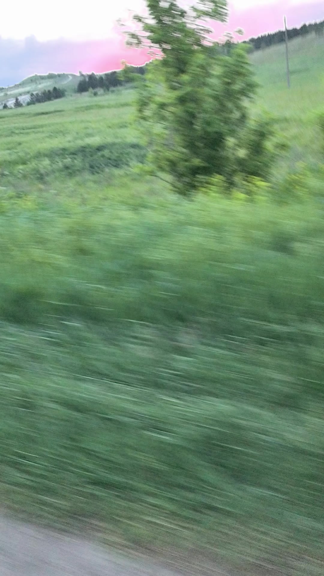 @ТГК: саншаймич вещает