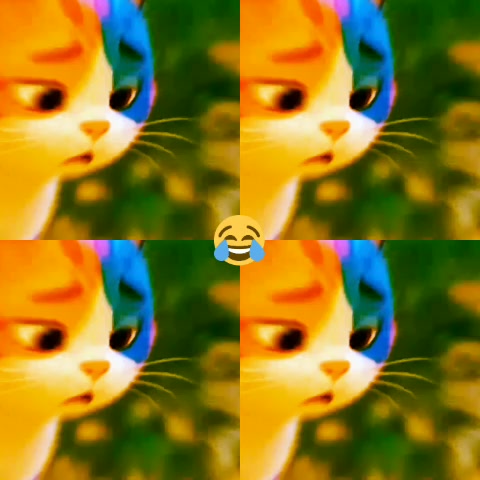 @Viral video