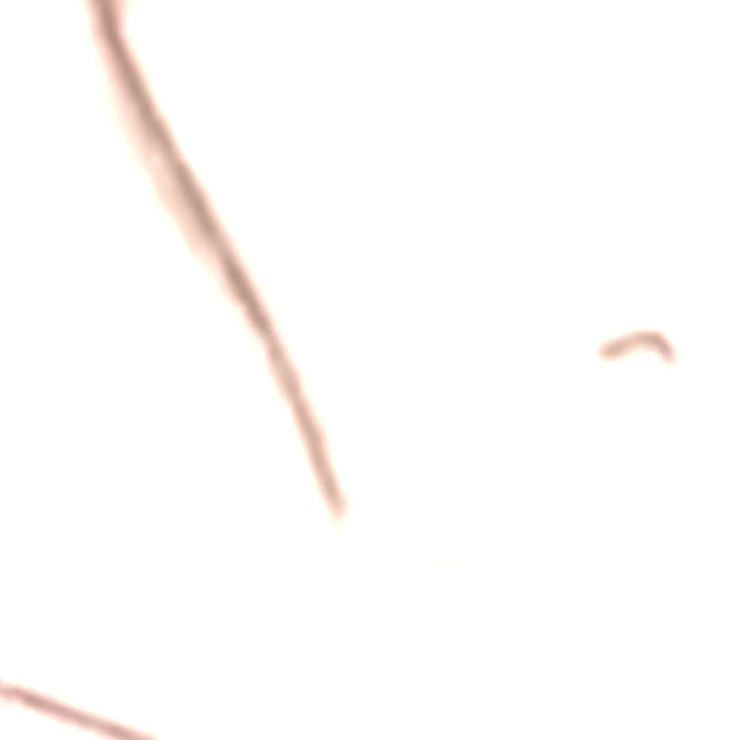 @nessie