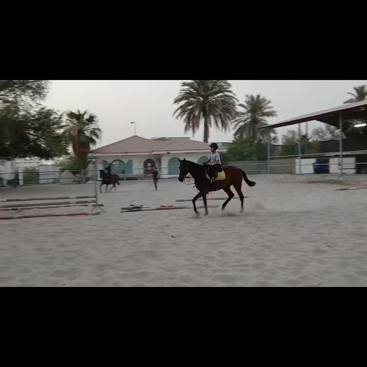 @Al Bosta Equestrian