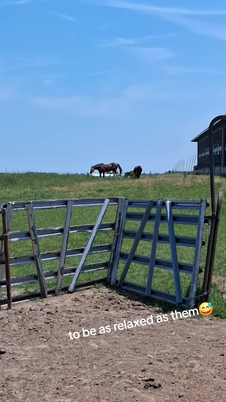 @Taylor | Sah{farm}m