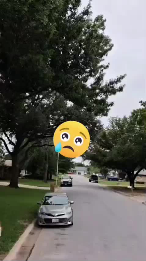 @Tom&aacute;s 🇭🇳🇺🇲