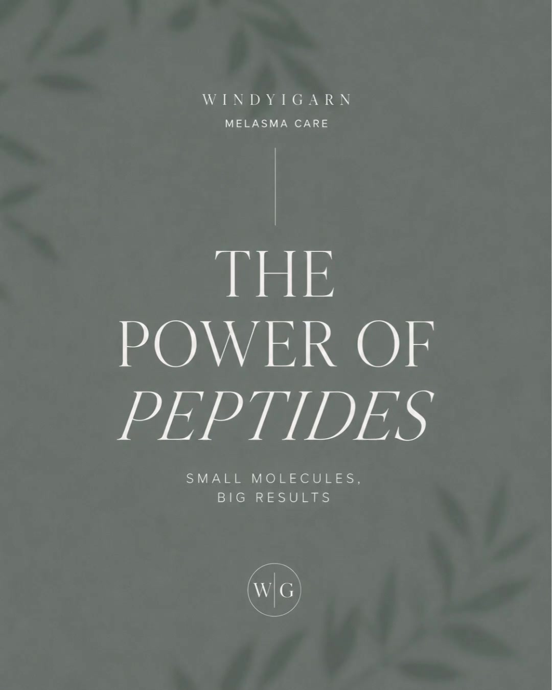 @Windyigarn Skincare