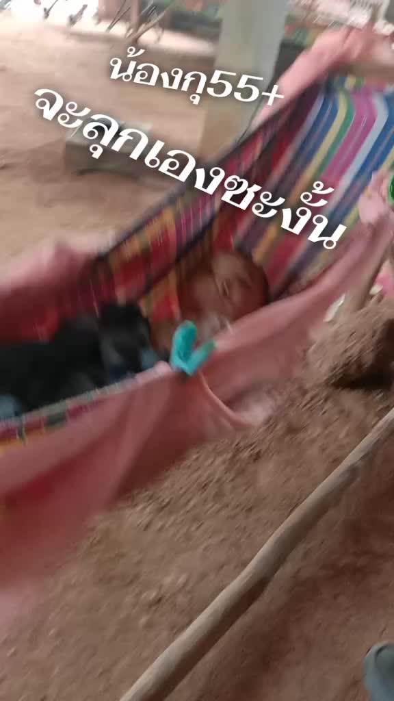@另一個🤟🏻🌹