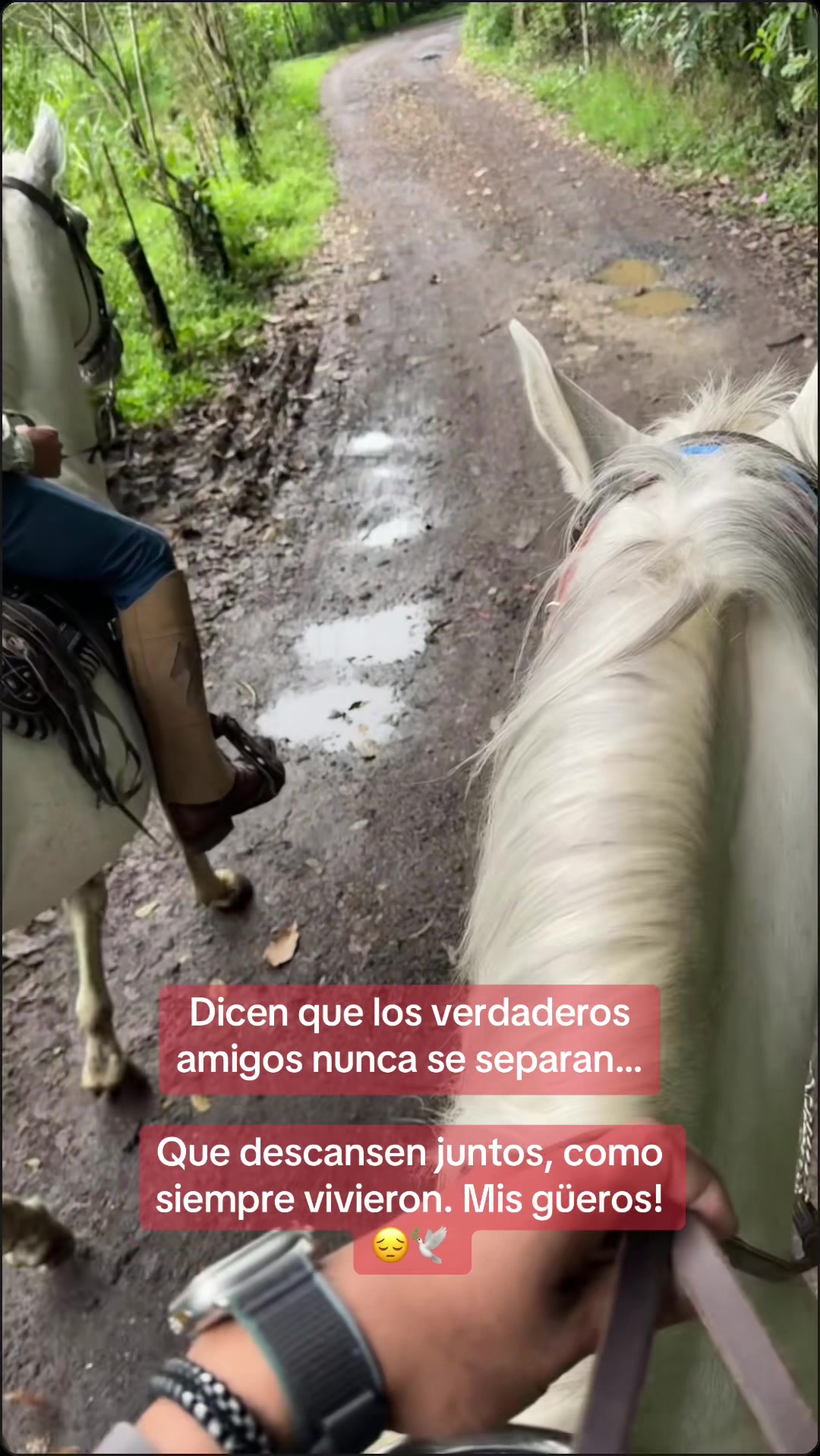 @Jose