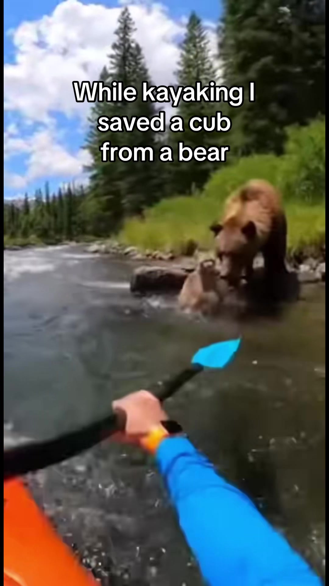 @AnimalWorld