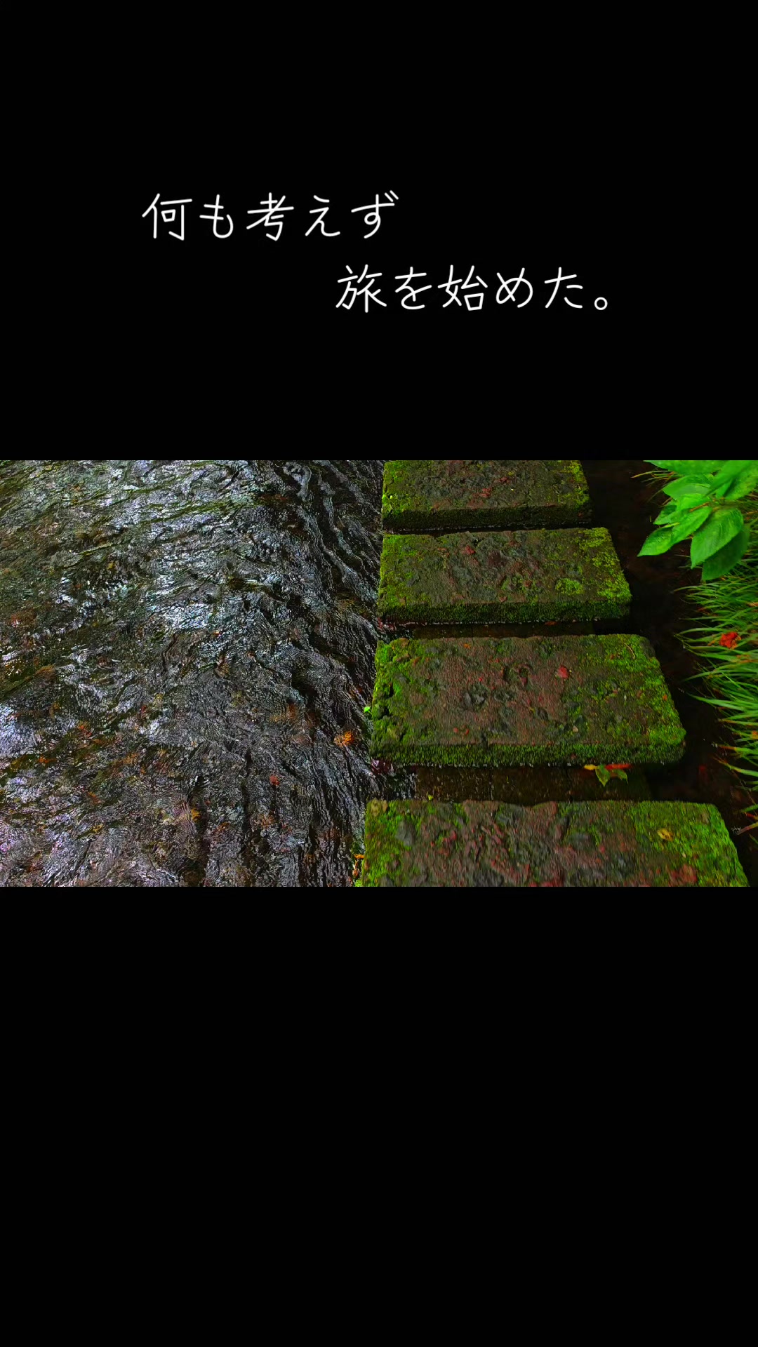 @新海智久(ともやん。)