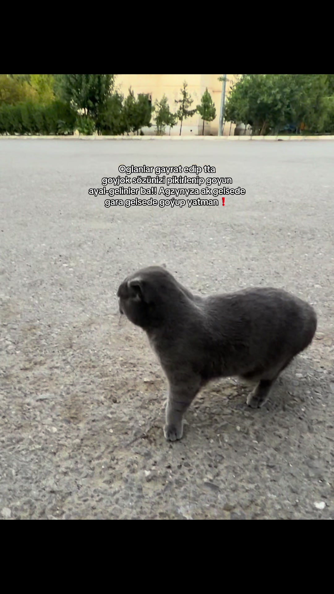 @๐๐ฎ๐ก๐๐ฆ๐ฆ๐๐ญ๐ซ๐๐ก๐ฒ๐ฆ๏ฃฟ๐๏ธ