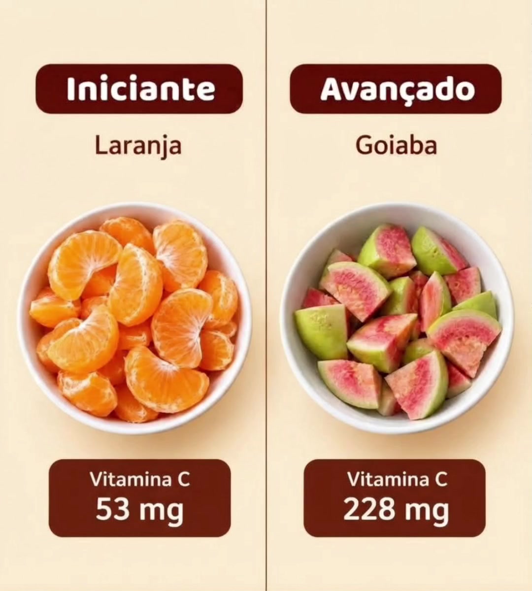 @Viva Bem Receitas Saudáveis