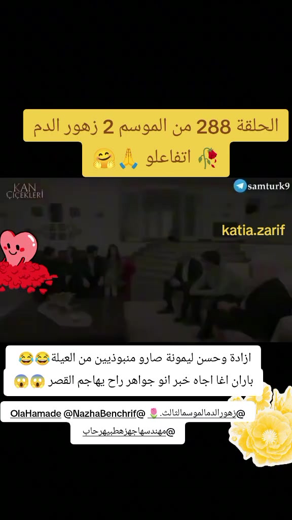 @Katia Zarif 🇱🇧