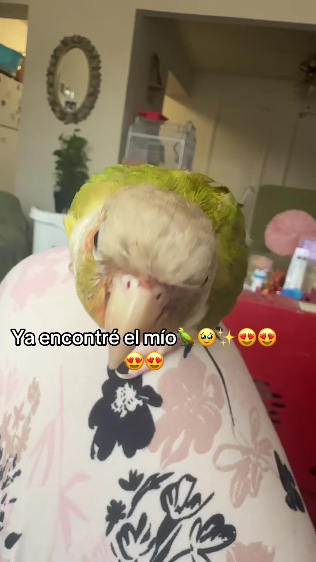 @Fer✨️