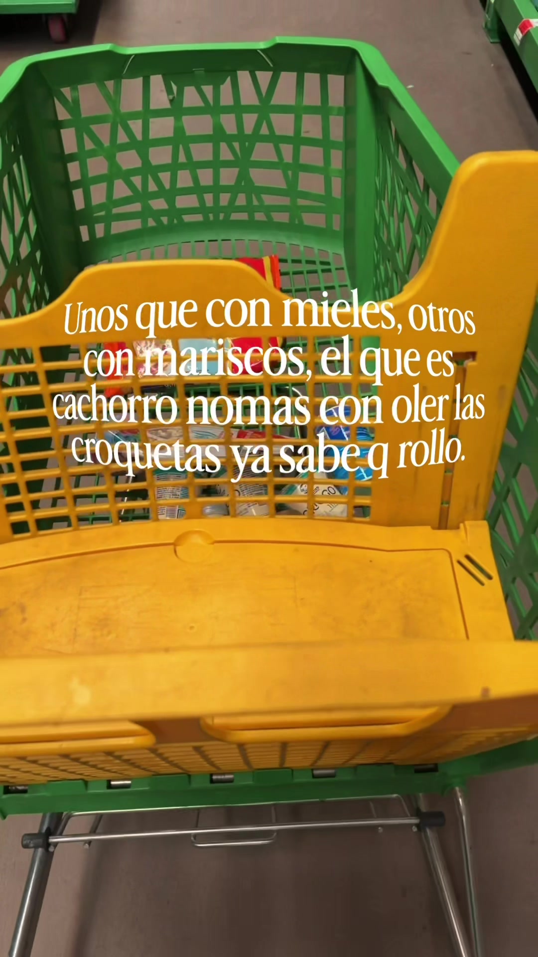 @José Kush