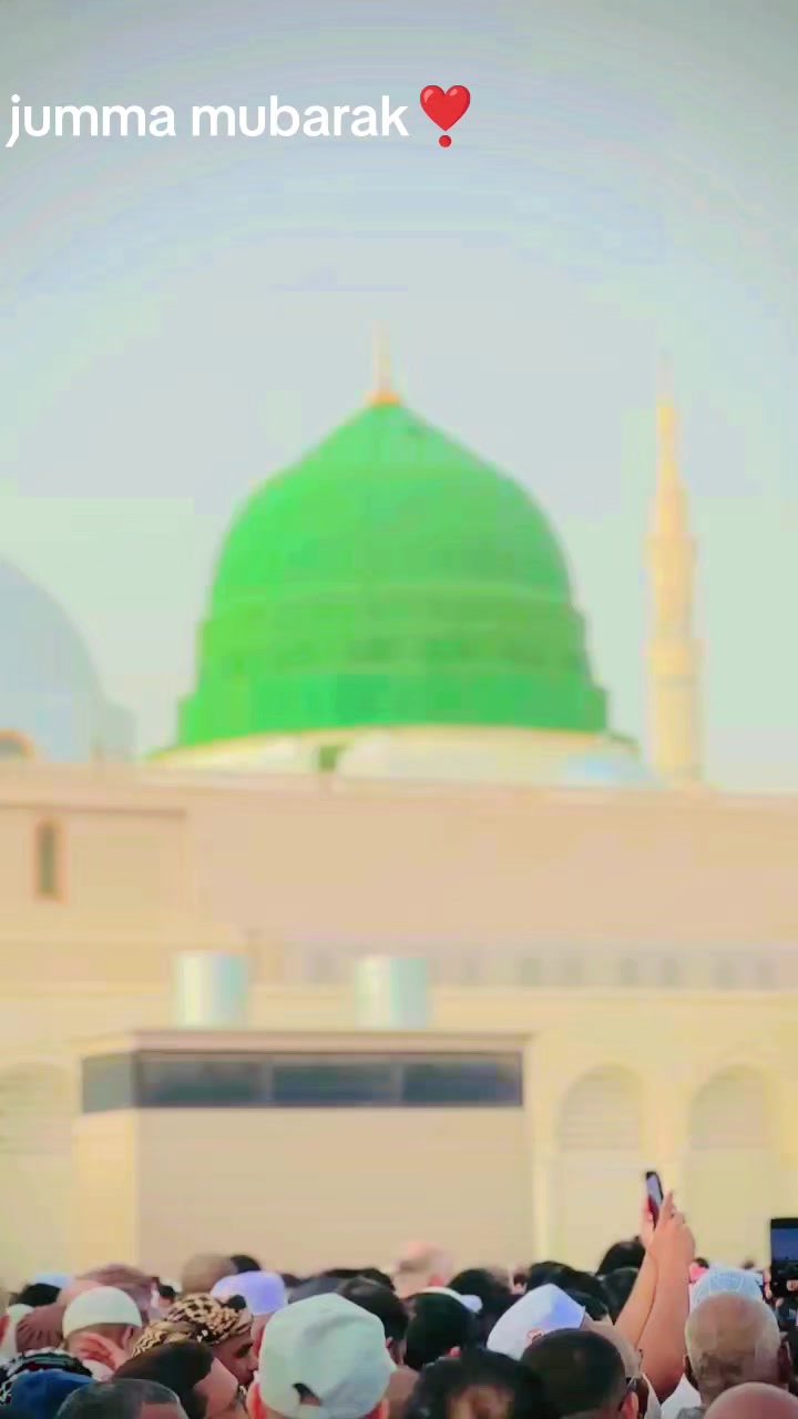 @alirazaarain8686