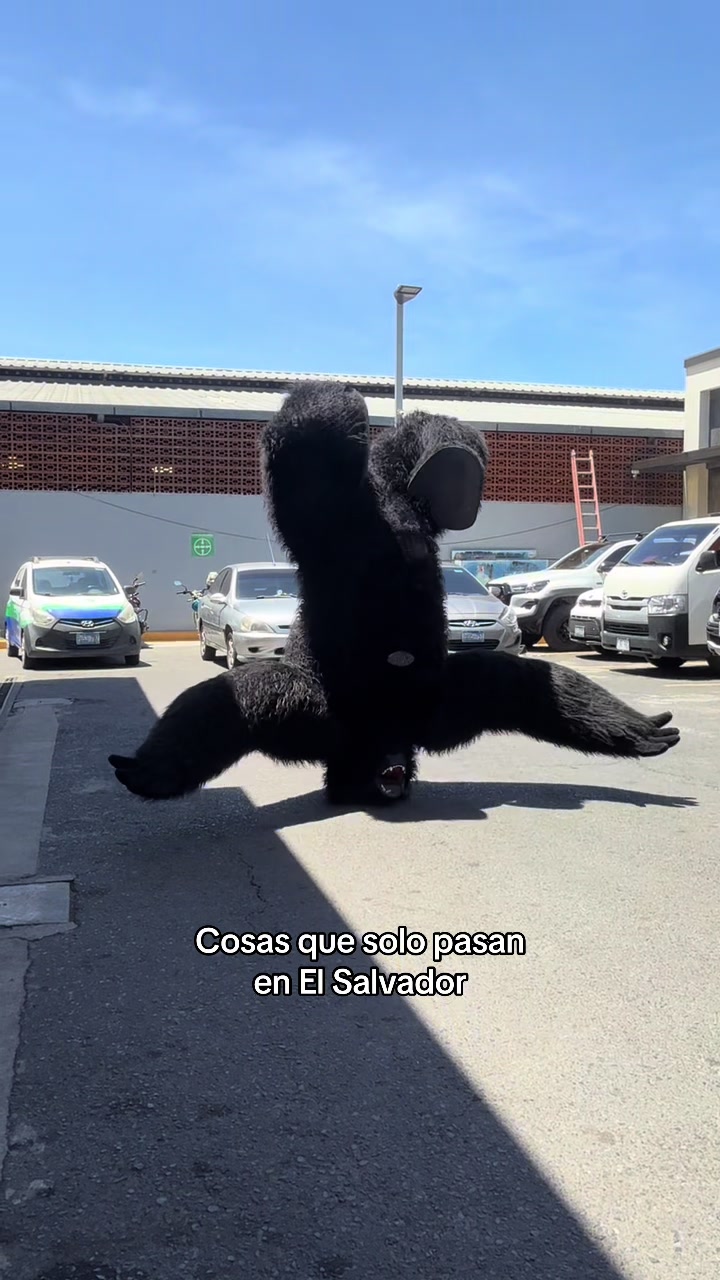 @Linda Sibrián