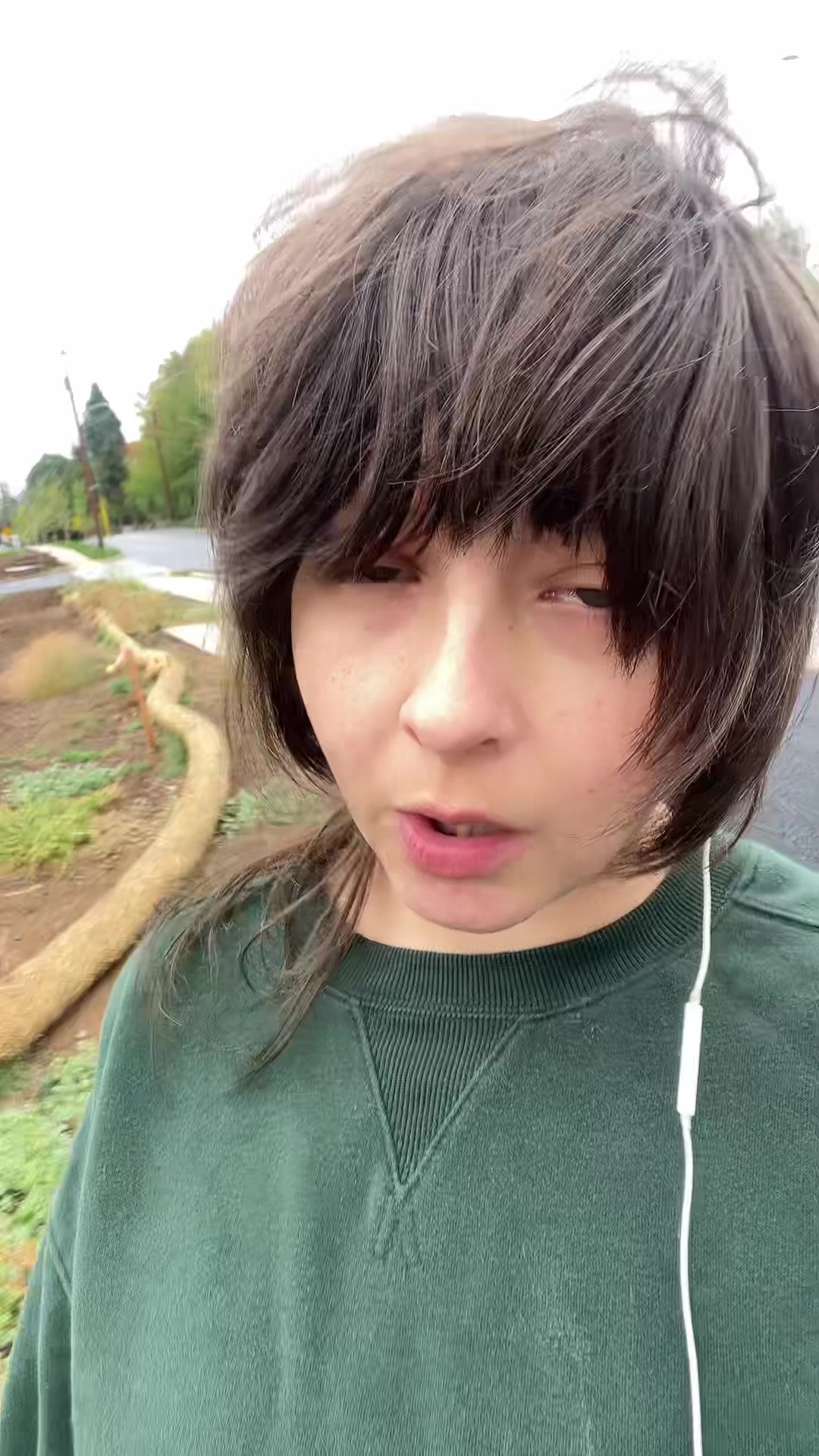 @「✦LINK✦」