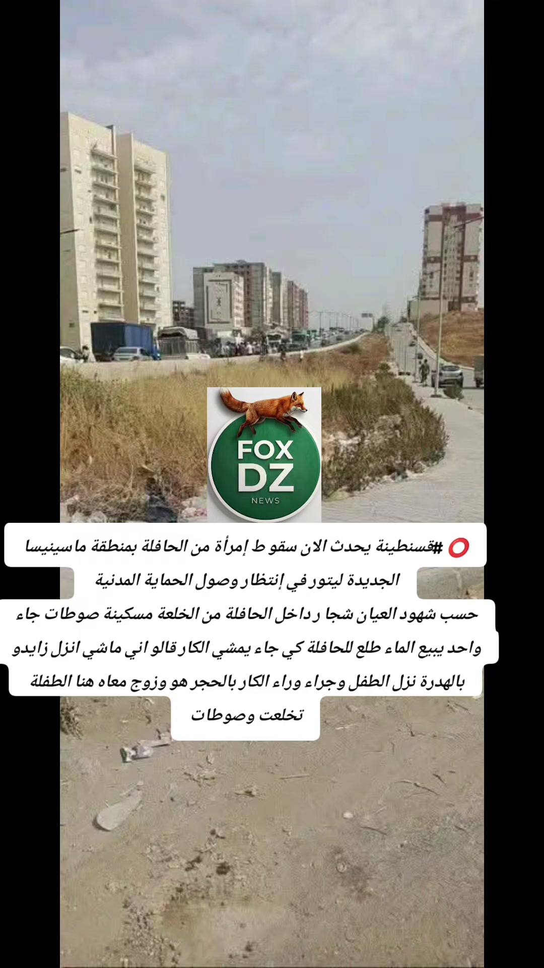 @🇩🇿FOX🦊 DZ🇩🇿