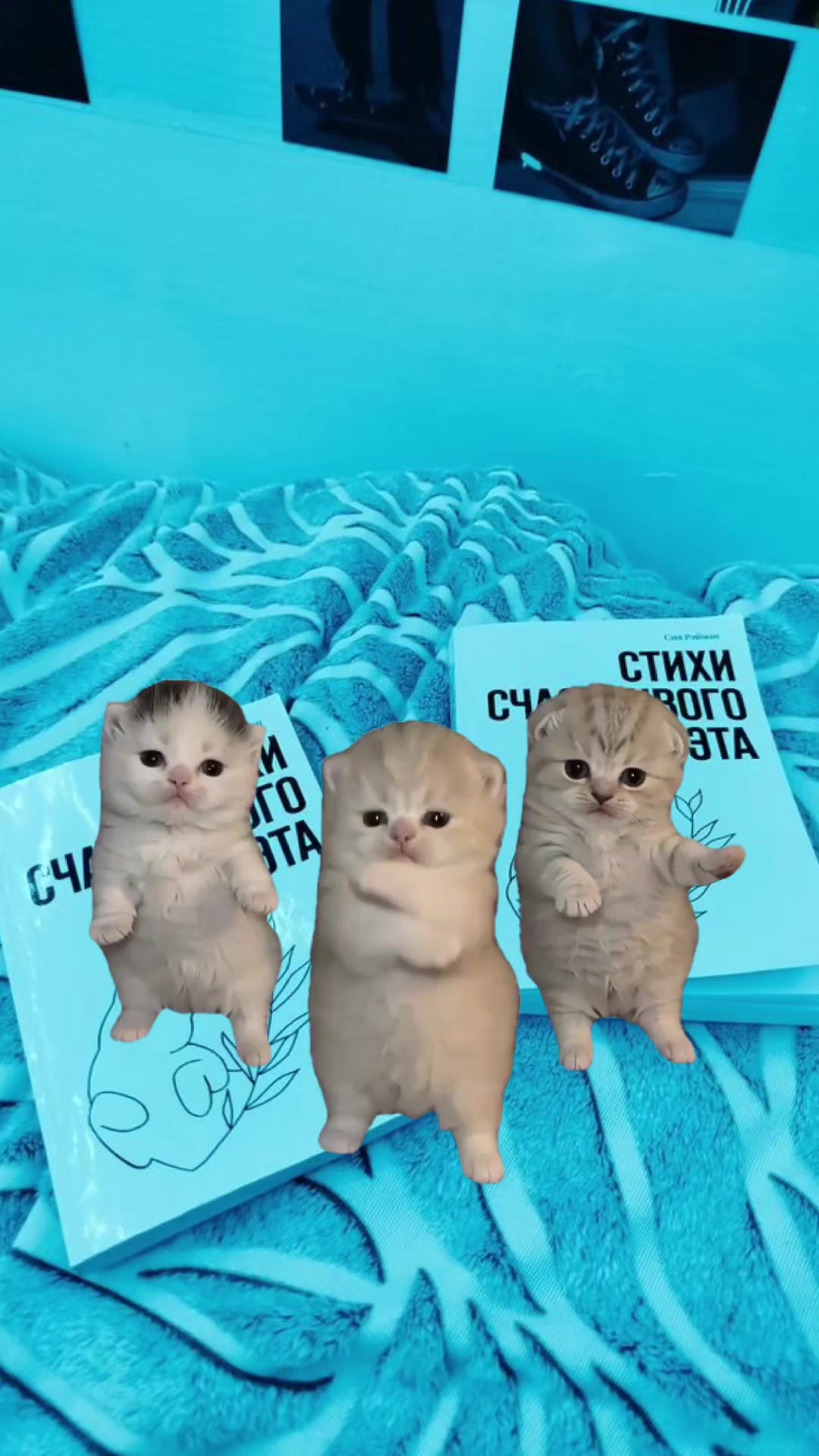 @СИЯ РЭЙМАН || КНИГИ