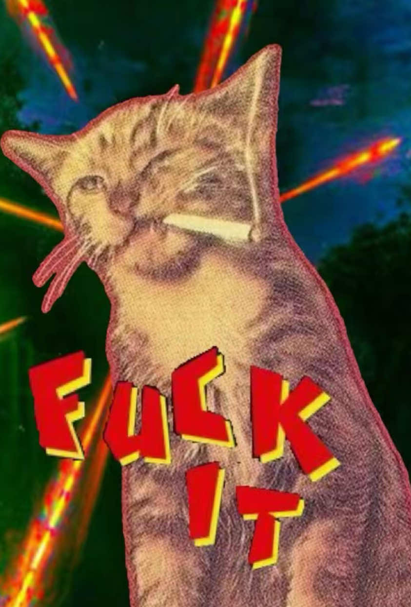 @๐ ๐ฐ ๐ ๐ณ ๐ ๐ธ ๐ฐ ๐ฝ ๐ธ๐ซฏ
