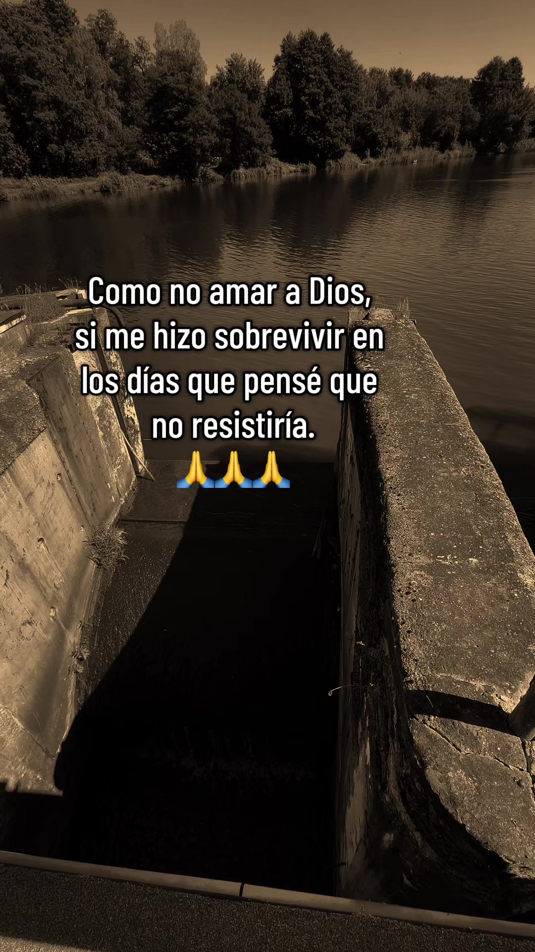 @lufer❣️🇨🇴🇵🇱❤️🩹❤️🤍