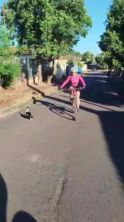 @_eupedalo