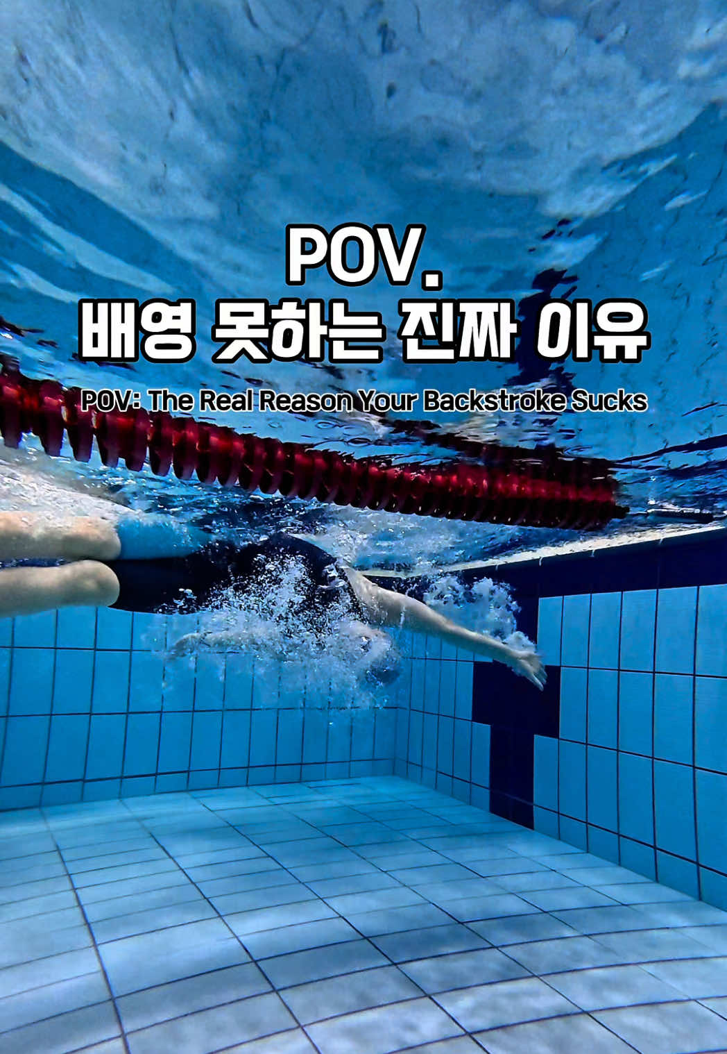 @스위머바니 swimmer banny