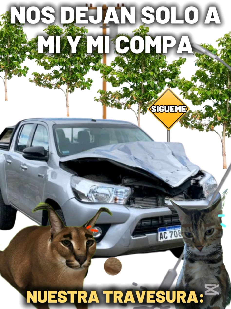 @TIGRITO EN MEMES
