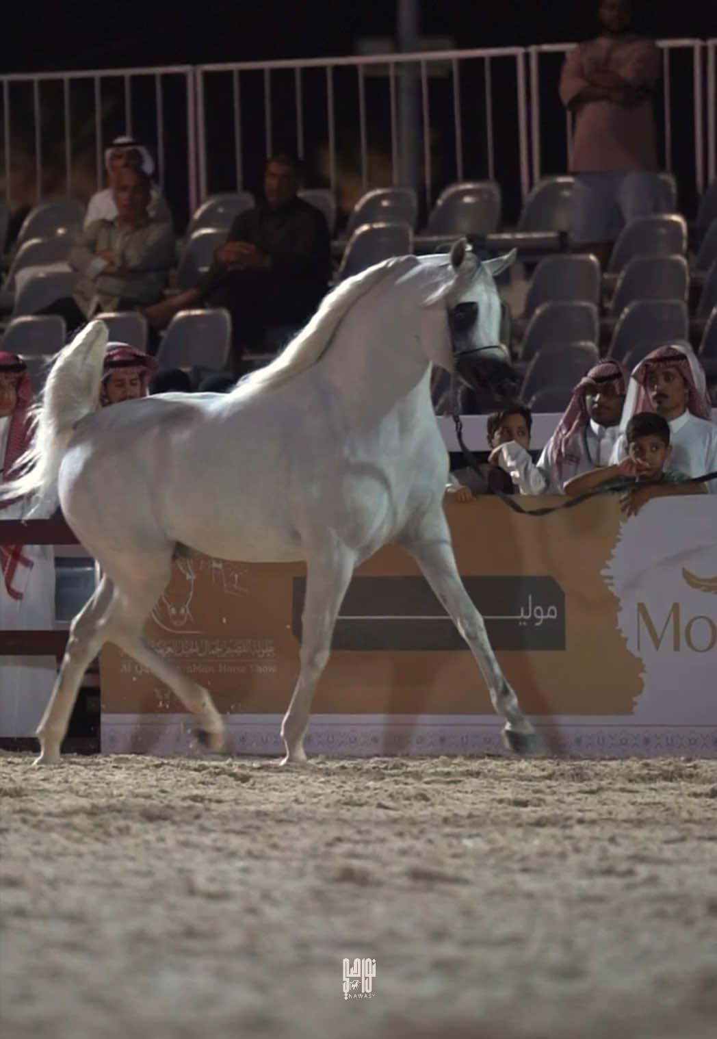 @Bader Al Ajmi