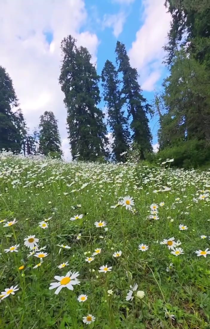 @khanayaz34