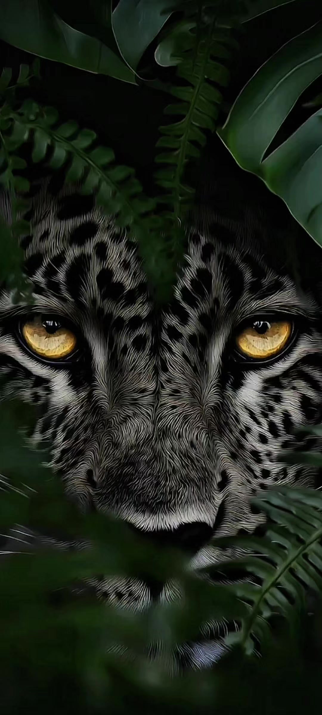 @Live wallpaper