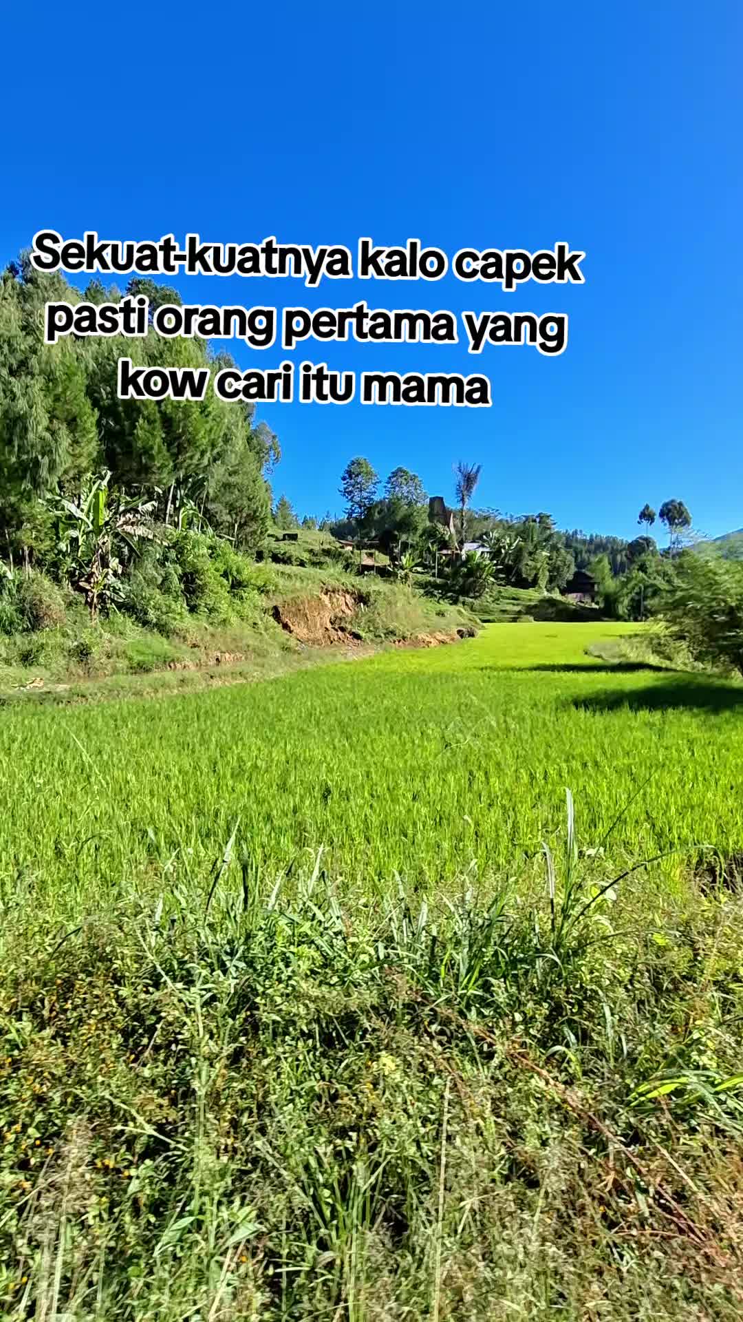 @To'elpi🫶