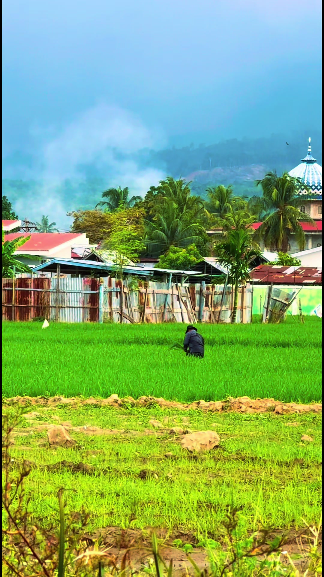 @Abana Tauthiah