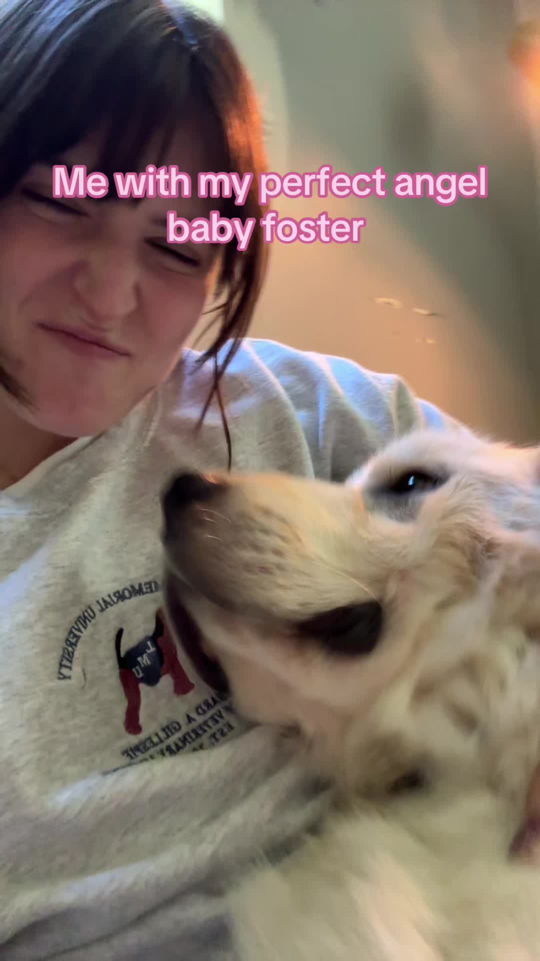 @futuredoctormegdvm