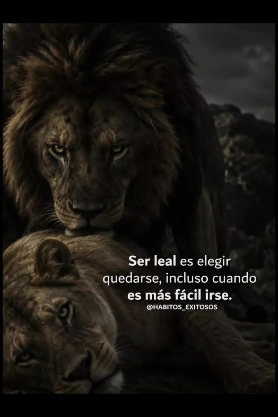 @sm reflexión