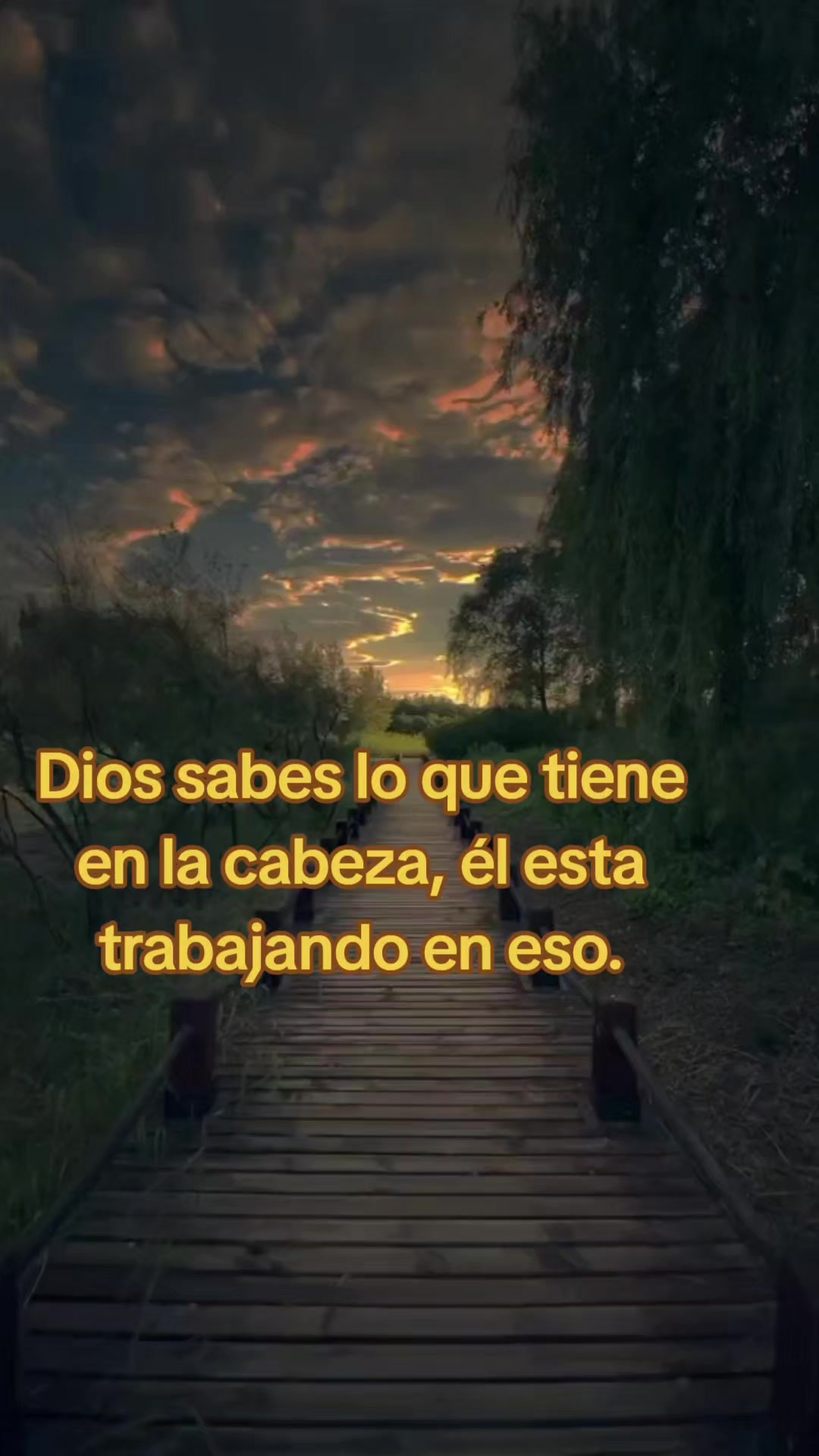 @sapienciaconjuantamares