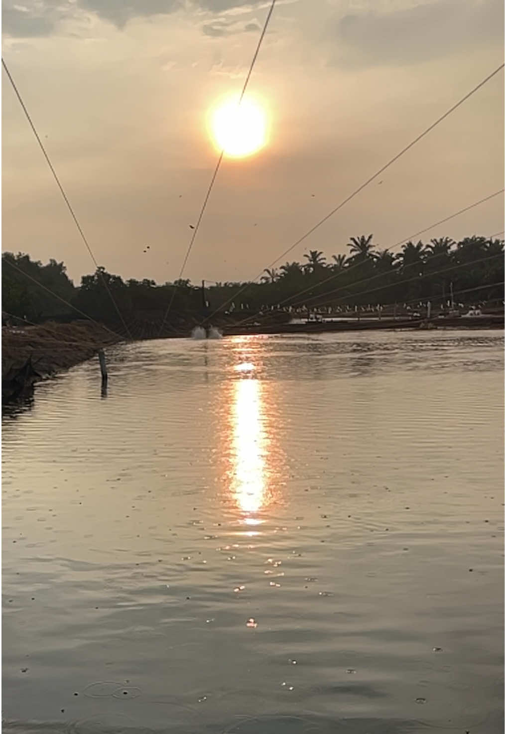@விஷ்வா @ விச்சு 18