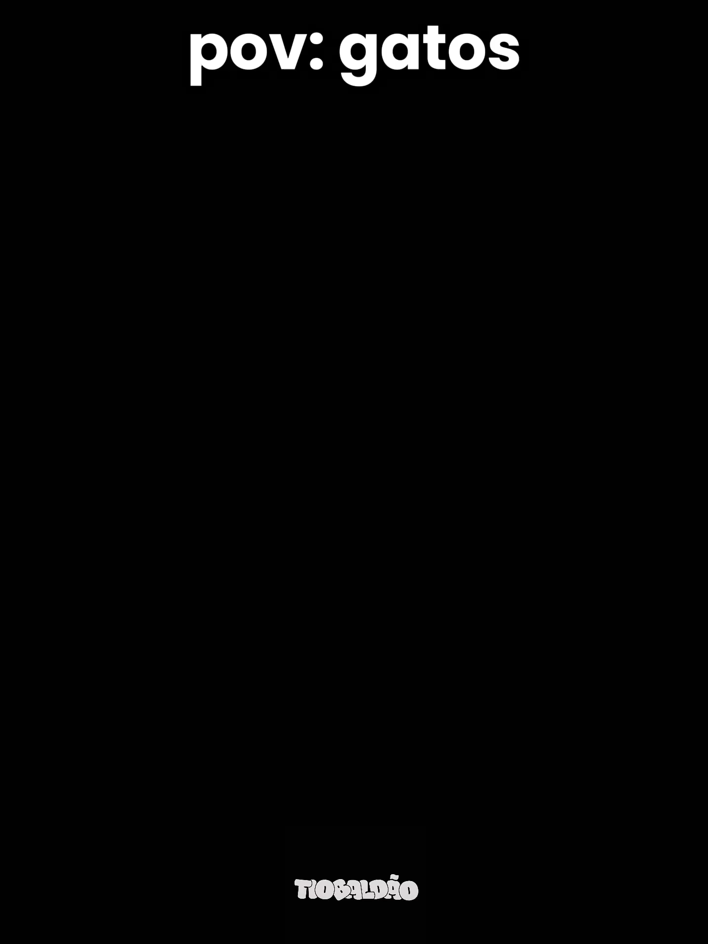 @TioBald&atilde;o