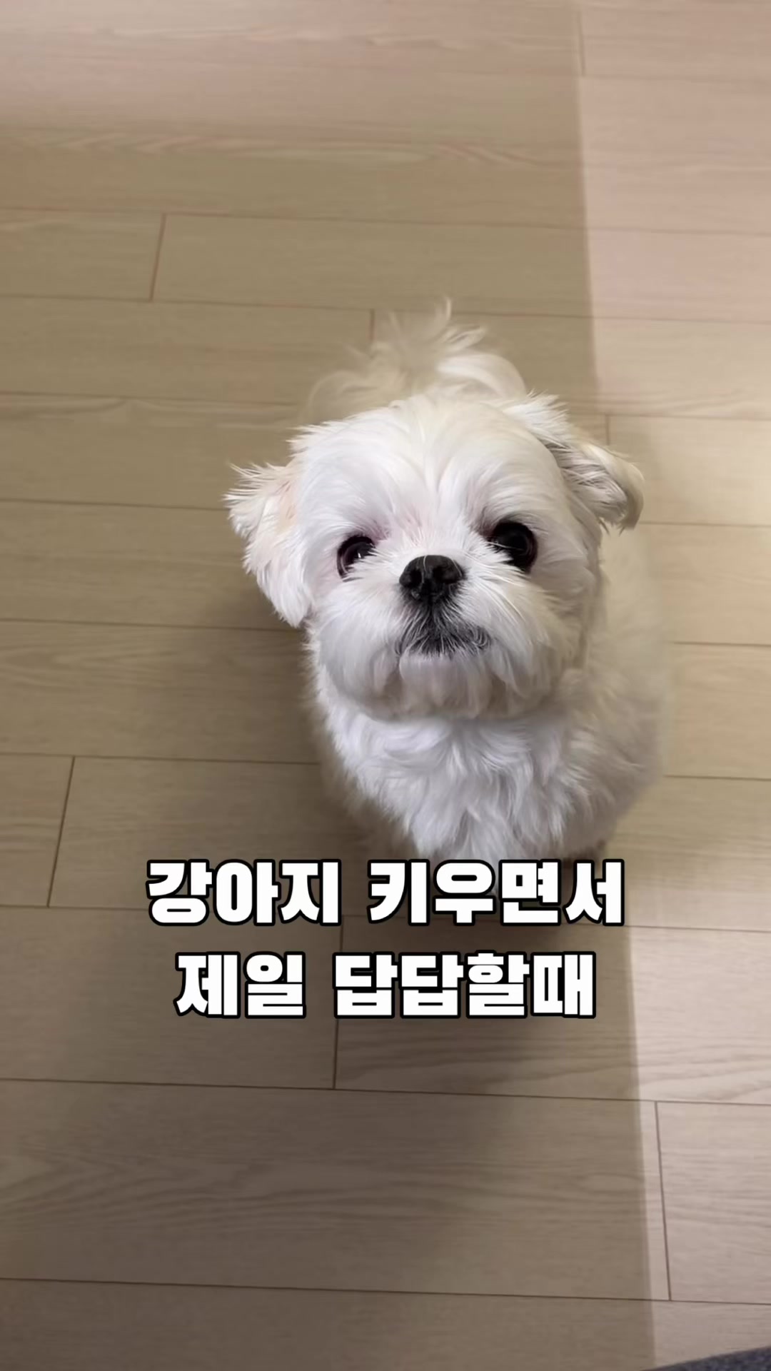 @박까까