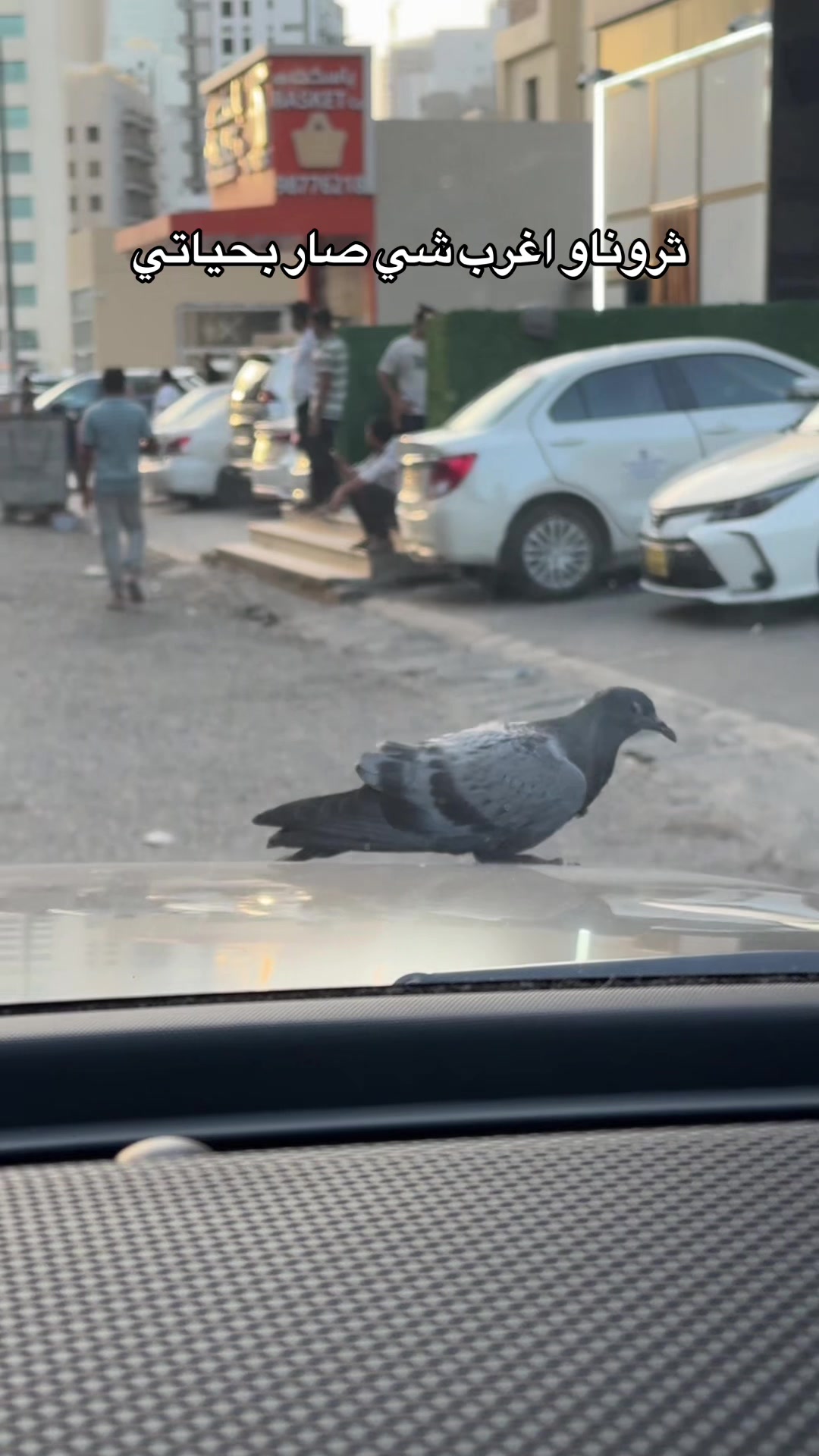 @Talal Sam | طلال سام