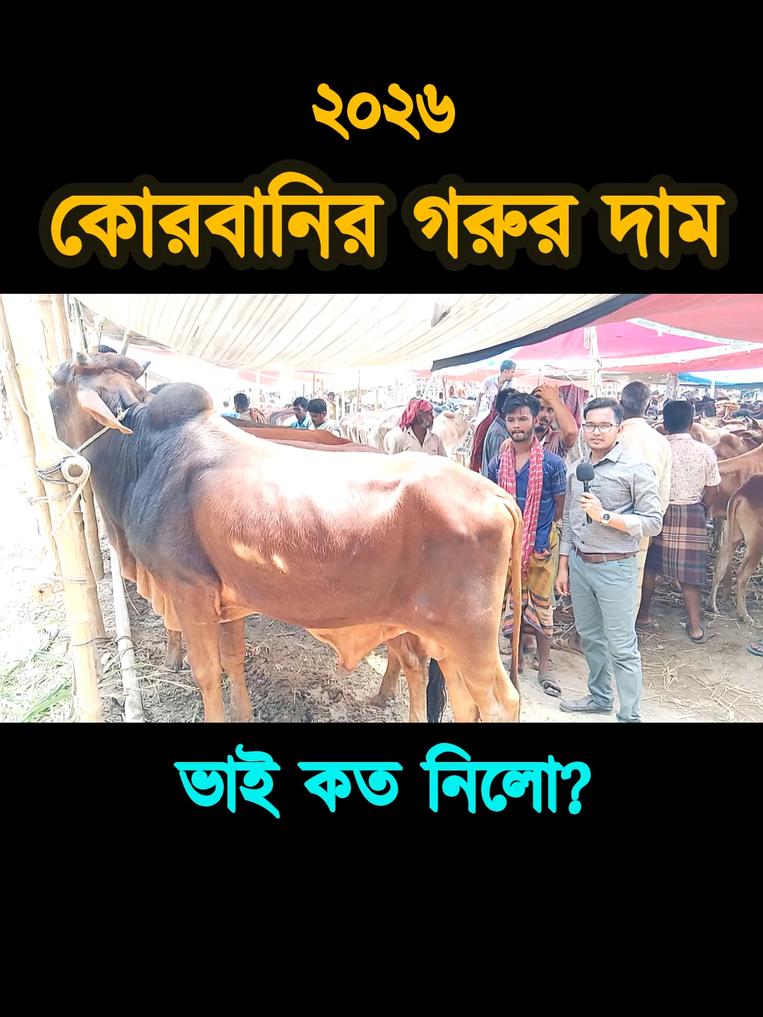 @Nayeem Islam