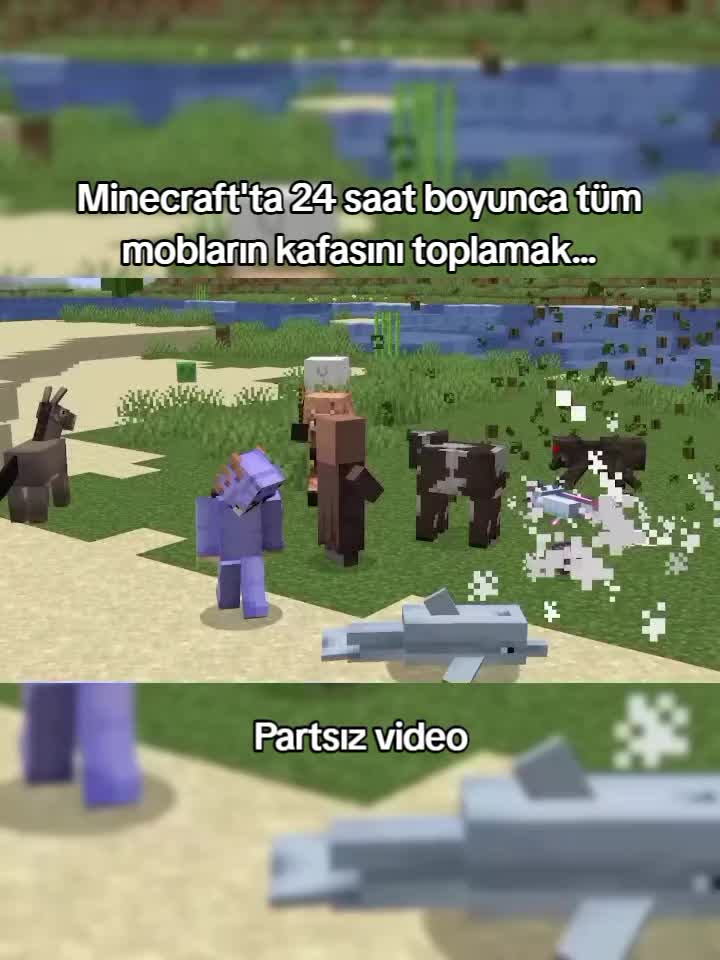 @OnlyCraft