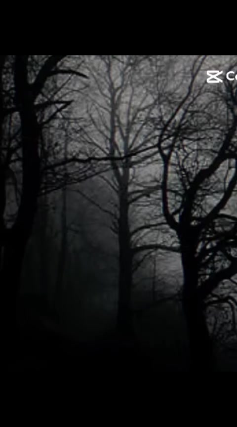 @𝐇𝐄𝐀𝐑𝐓 𝐒𝐇𝐀𝐏𝐄𝐓 𝐁𝐎𝐗