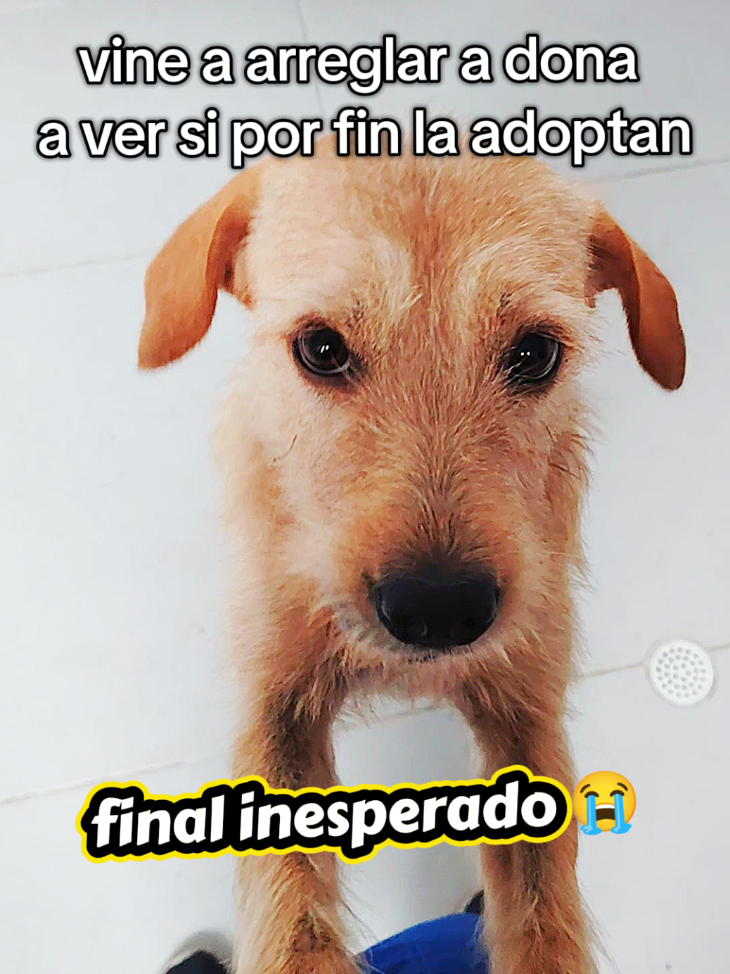 @✨ximenAragon✨