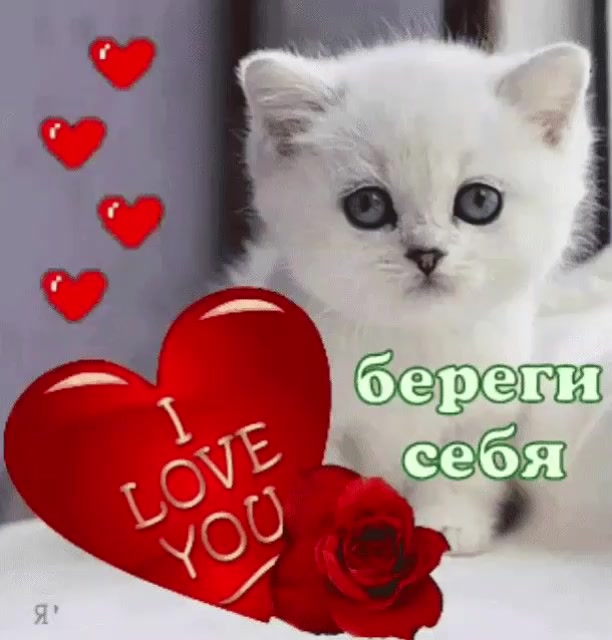 @кощик😛