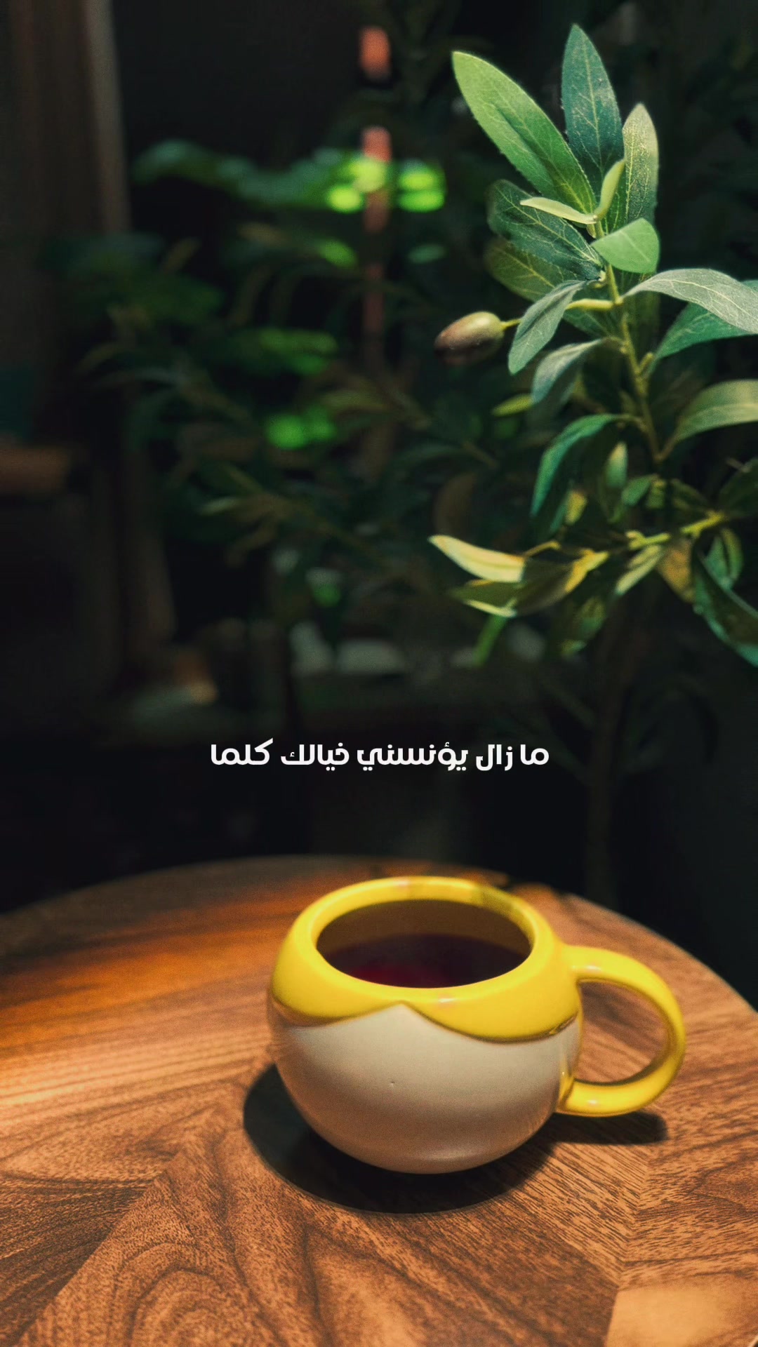 @HayoOsh M Diyab📷 ᥫ᭡