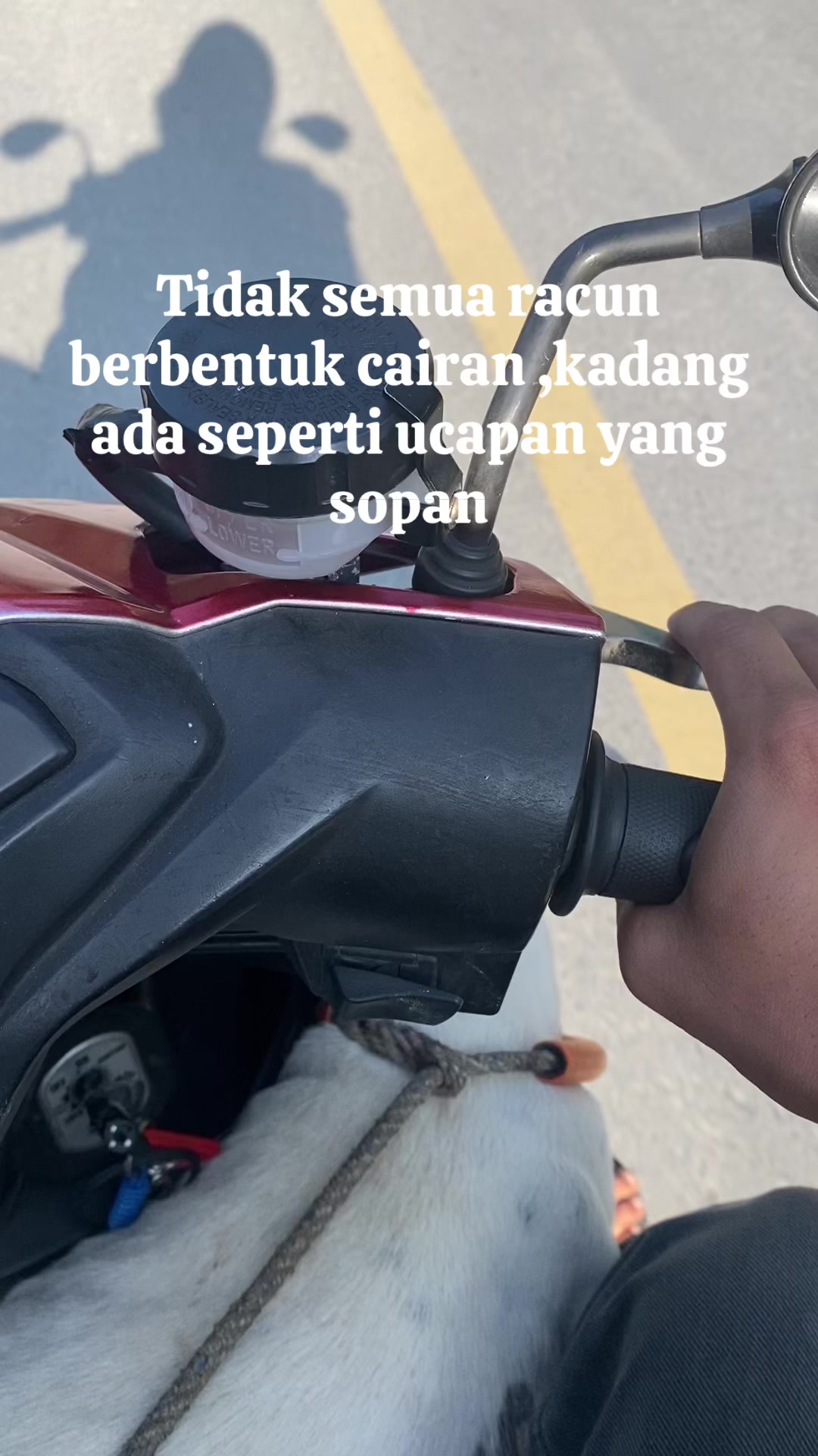 @Jabua